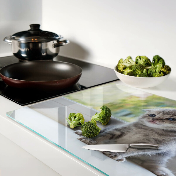 Glass chopping board A kitten on the windowsill