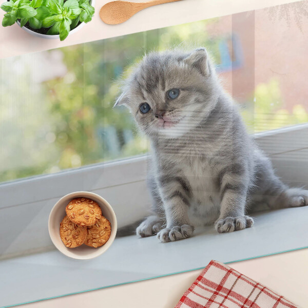 Glass chopping board A kitten on the windowsill