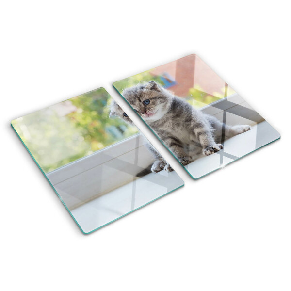 Glass chopping board A kitten on the windowsill