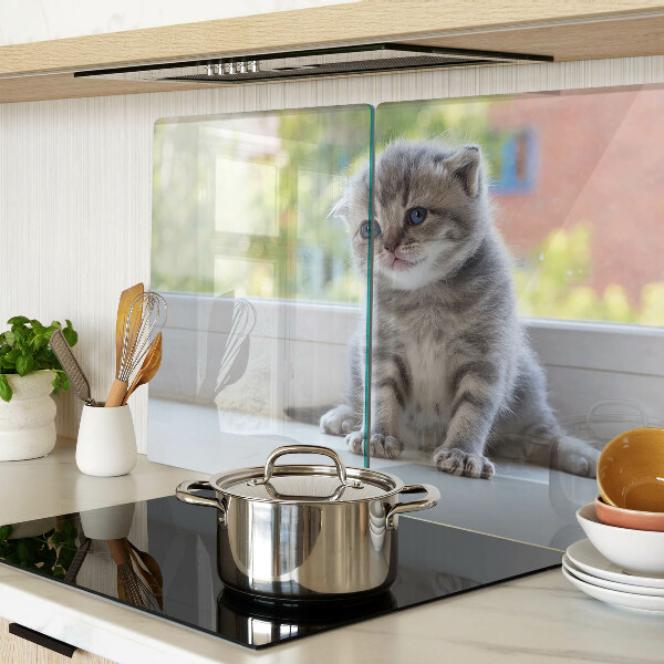 Glass chopping board A kitten on the windowsill