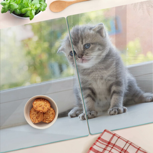 Glass chopping board A kitten on the windowsill