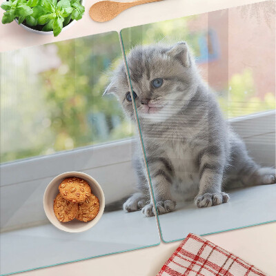 Glass chopping board A kitten on the windowsill