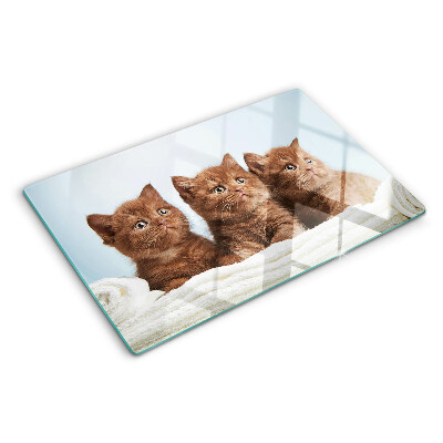 Glass kitchen board Three brown cats
