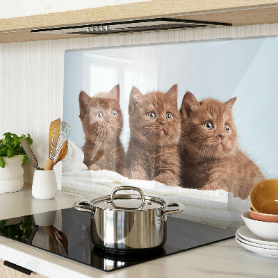 Glass kitchen board Three brown cats