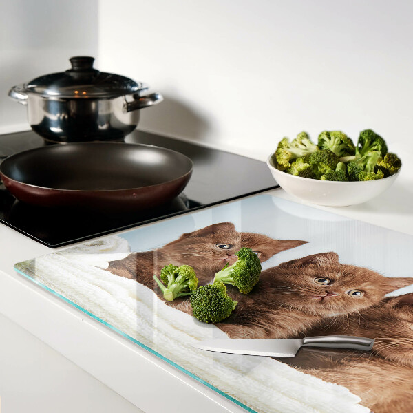 Glass kitchen board Three brown cats