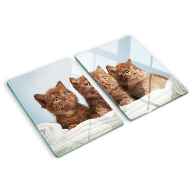 Glass kitchen board Three brown cats