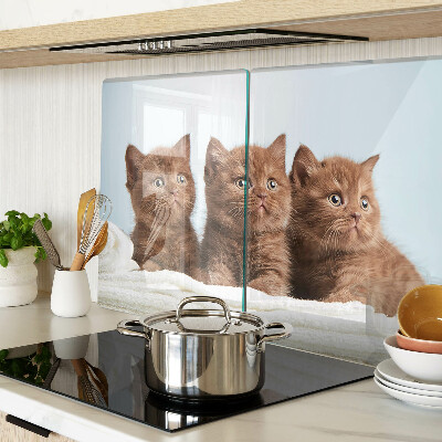 Glass kitchen board Three brown cats