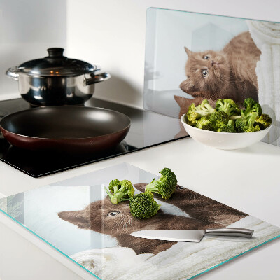 Glass kitchen board Three brown cats