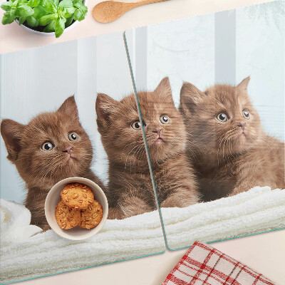 Glass kitchen board Three brown cats