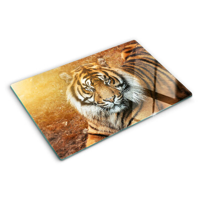 Chopping board glass Tiger in the sun's rays