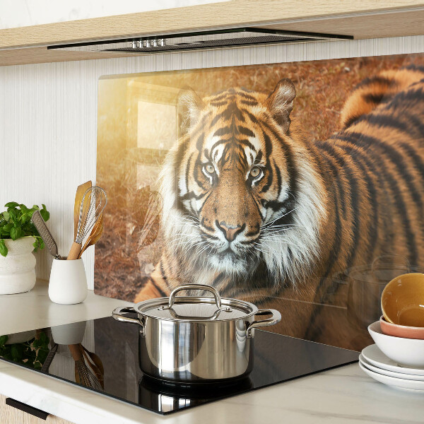 Chopping board glass Tiger in the sun's rays