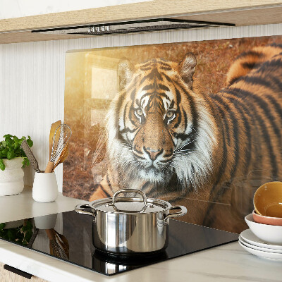 Chopping board glass Tiger in the sun's rays