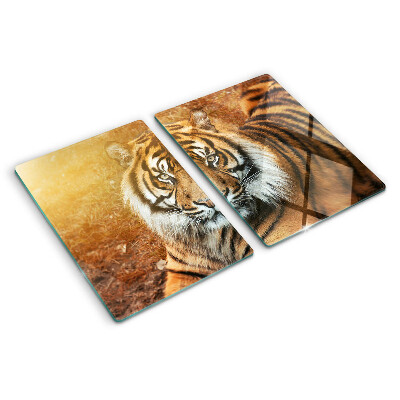 Chopping board glass Tiger in the sun's rays