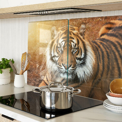 Chopping board glass Tiger in the sun's rays