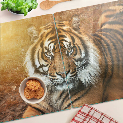 Chopping board glass Tiger in the sun's rays
