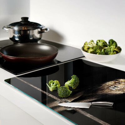 Glass kitchen board Lion on a dark background