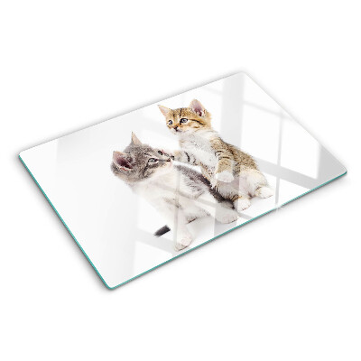 Chopping board glass Cats on a white background