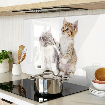 Chopping board glass Cats on a white background