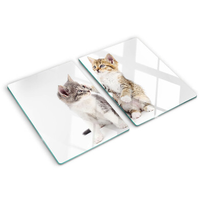Chopping board glass Cats on a white background