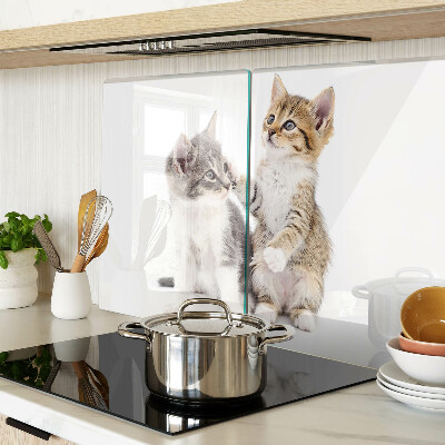 Chopping board glass Cats on a white background