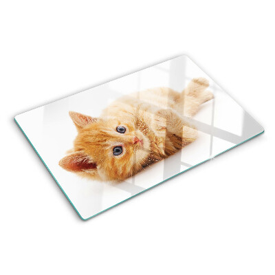 Glass kitchen board Ginger kitten on a white background