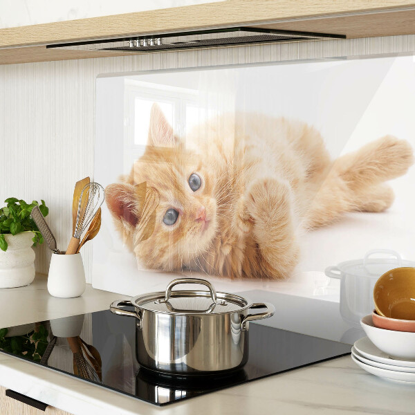Glass kitchen board Ginger kitten on a white background