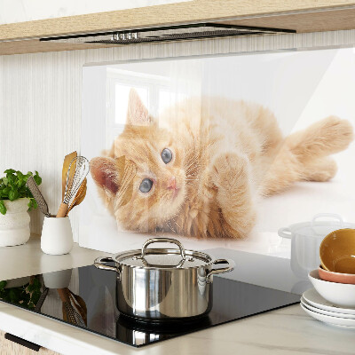 Glass kitchen board Ginger kitten on a white background