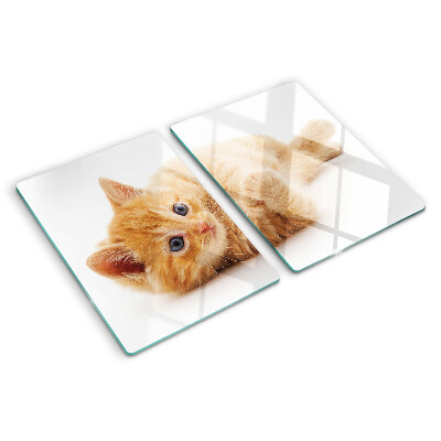 Glass kitchen board Ginger kitten on a white background