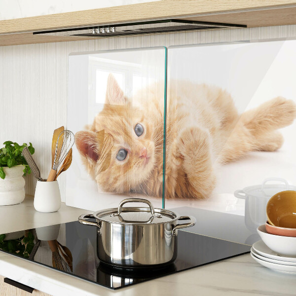 Glass kitchen board Ginger kitten on a white background