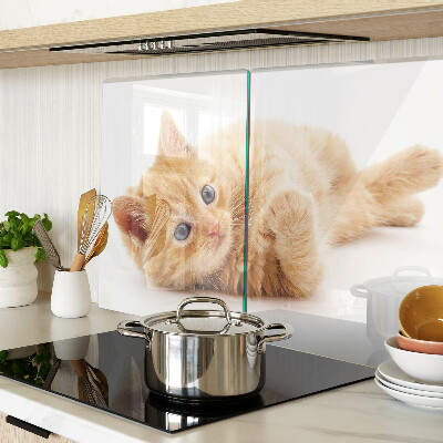 Glass kitchen board Ginger kitten on a white background