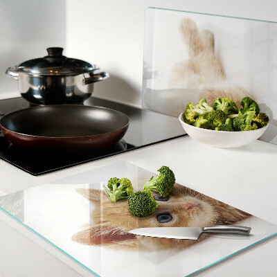 Glass kitchen board Ginger kitten on a white background
