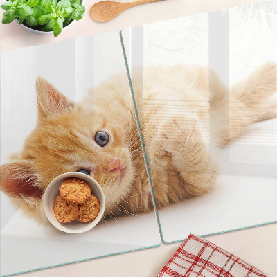 Glass kitchen board Ginger kitten on a white background