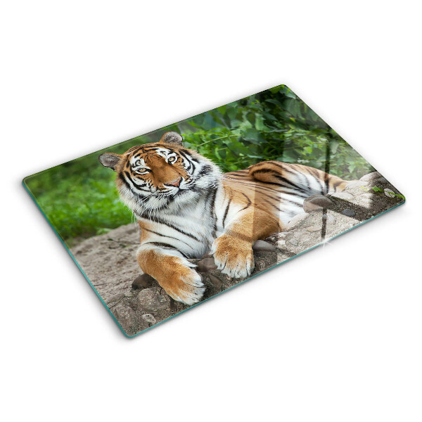 Chopping board glass Tiger in its natural habitat