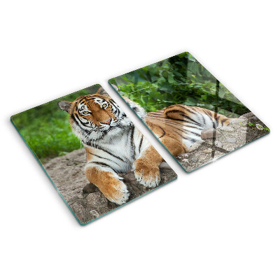 Chopping board glass Tiger in its natural habitat