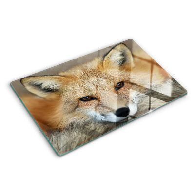 Cutting board Young red fox