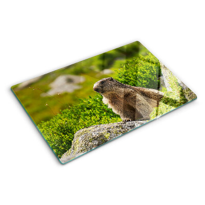 Chopping board glass Marmot against a background of green grass
