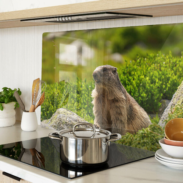 Chopping board glass Marmot against a background of green grass