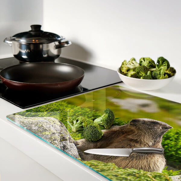 Chopping board glass Marmot against a background of green grass