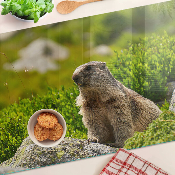 Chopping board glass Marmot against a background of green grass