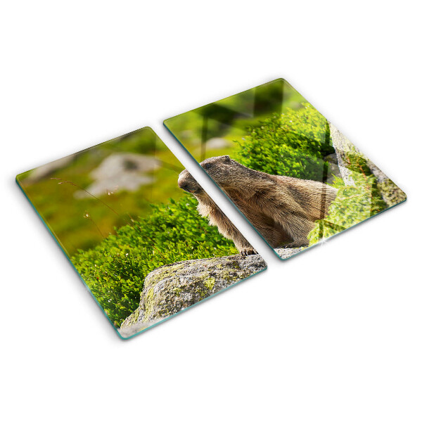 Chopping board glass Marmot against a background of green grass