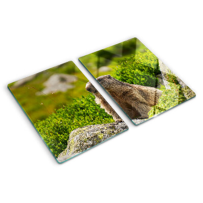 Chopping board glass Marmot against a background of green grass