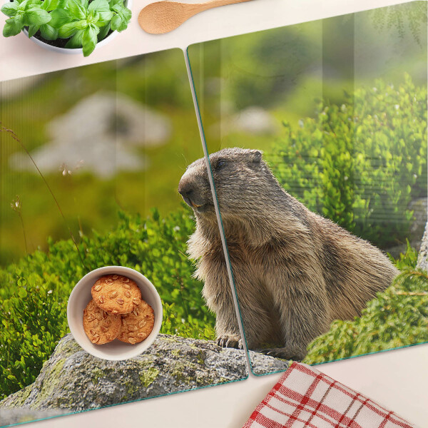 Chopping board glass Marmot against a background of green grass