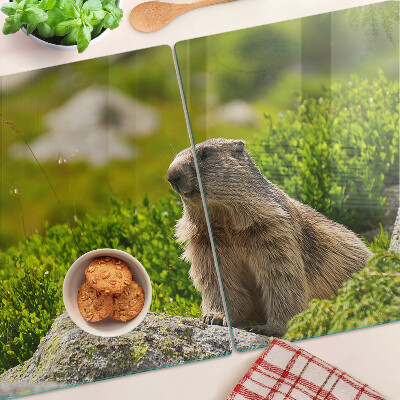 Chopping board glass Marmot against a background of green grass