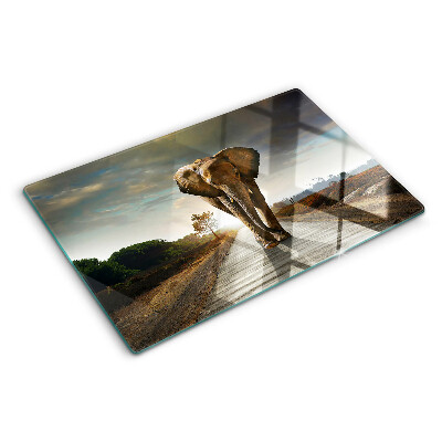 Glass chopping board Elephant on the road at sunset