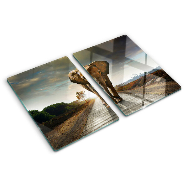 Glass chopping board Elephant on the road at sunset