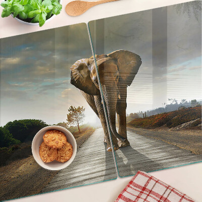 Glass chopping board Elephant on the road at sunset