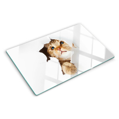 Glass kitchen board A cat looking through a hole in the wall