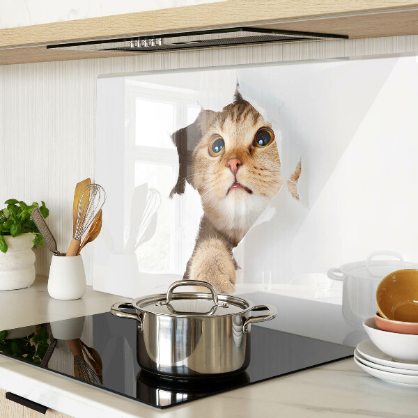Glass kitchen board A cat looking through a hole in the wall