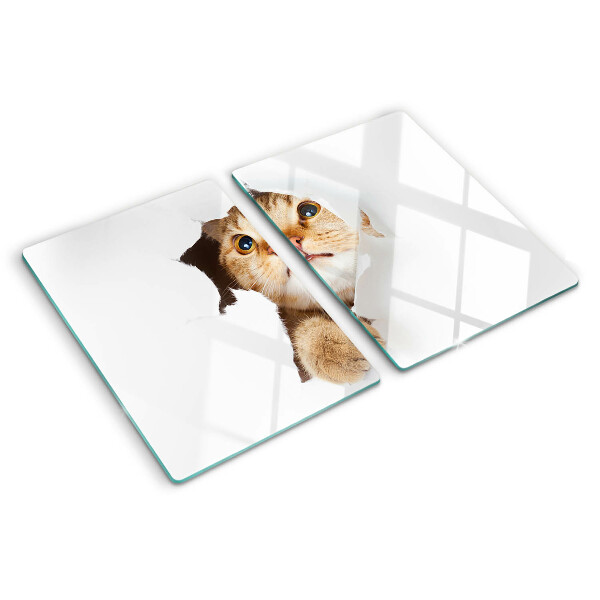 Glass kitchen board A cat looking through a hole in the wall