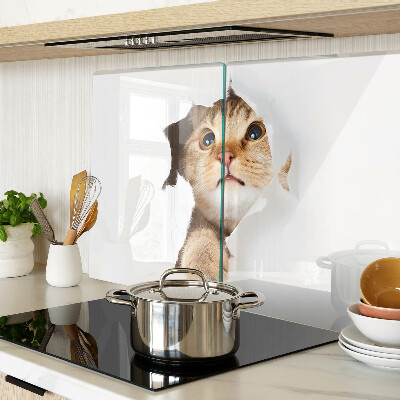 Glass kitchen board A cat looking through a hole in the wall